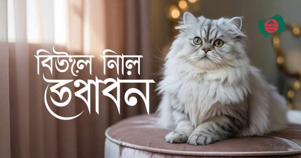 বিড়াল-নিয়ে-ক্যাপশন-২০২৬